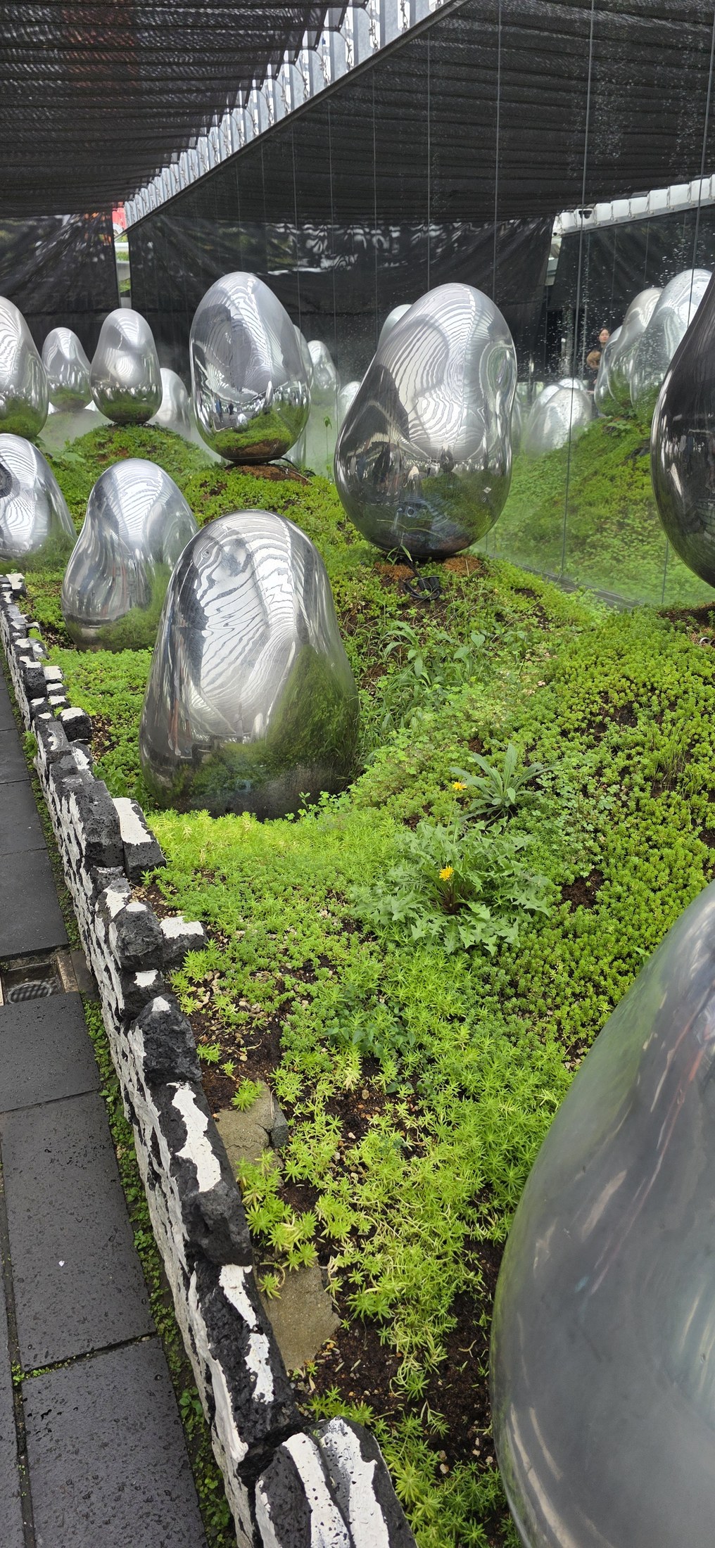 Spiegelnde Ovale im Moosgarten von teamLab Planets