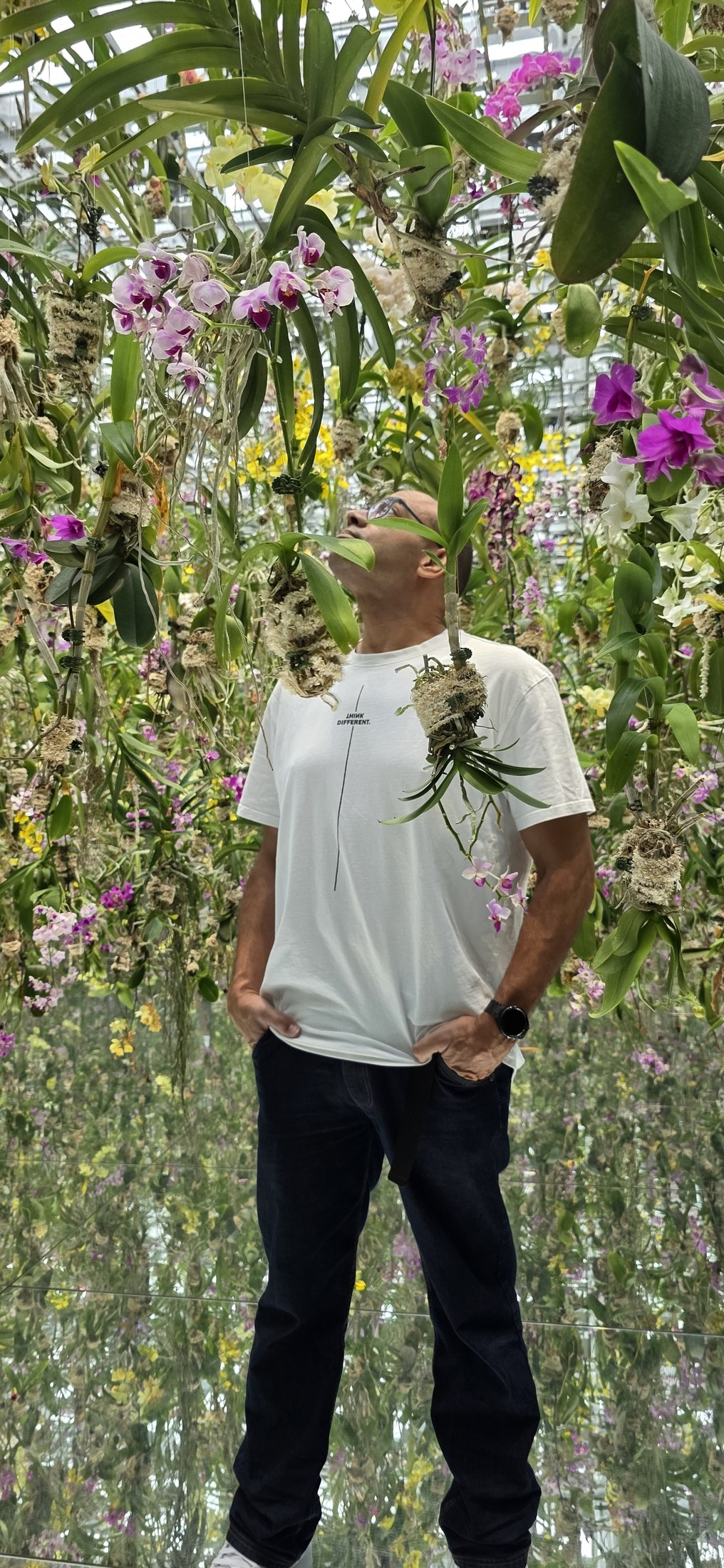 Zwischen schwebenden Orchideen