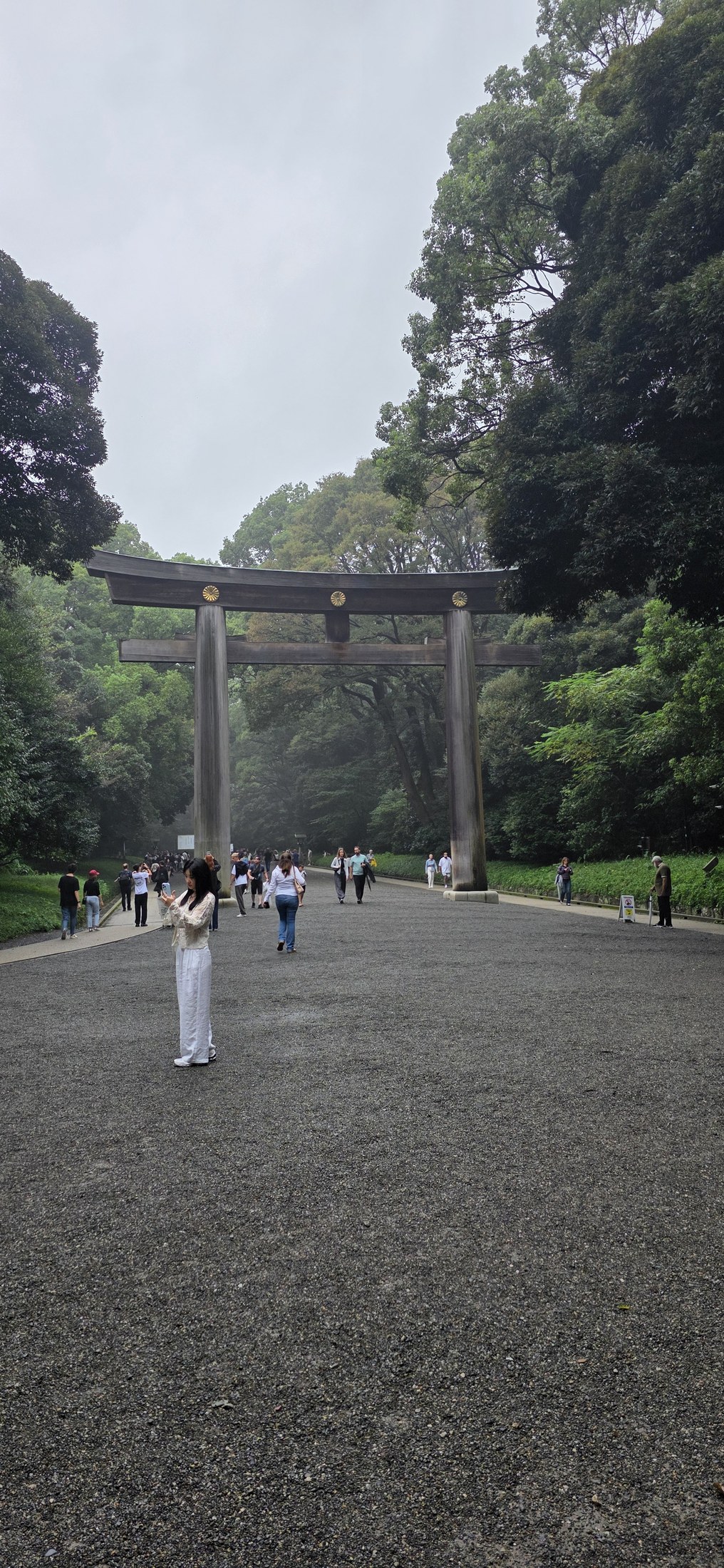 Das große Holztor im Wald von Meiji Jingū
